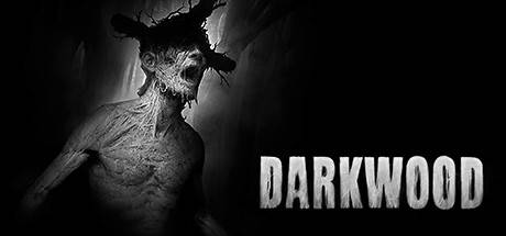 黑啬森林/阴暗森林/Darkwood（更新v1.4）-游戏广场