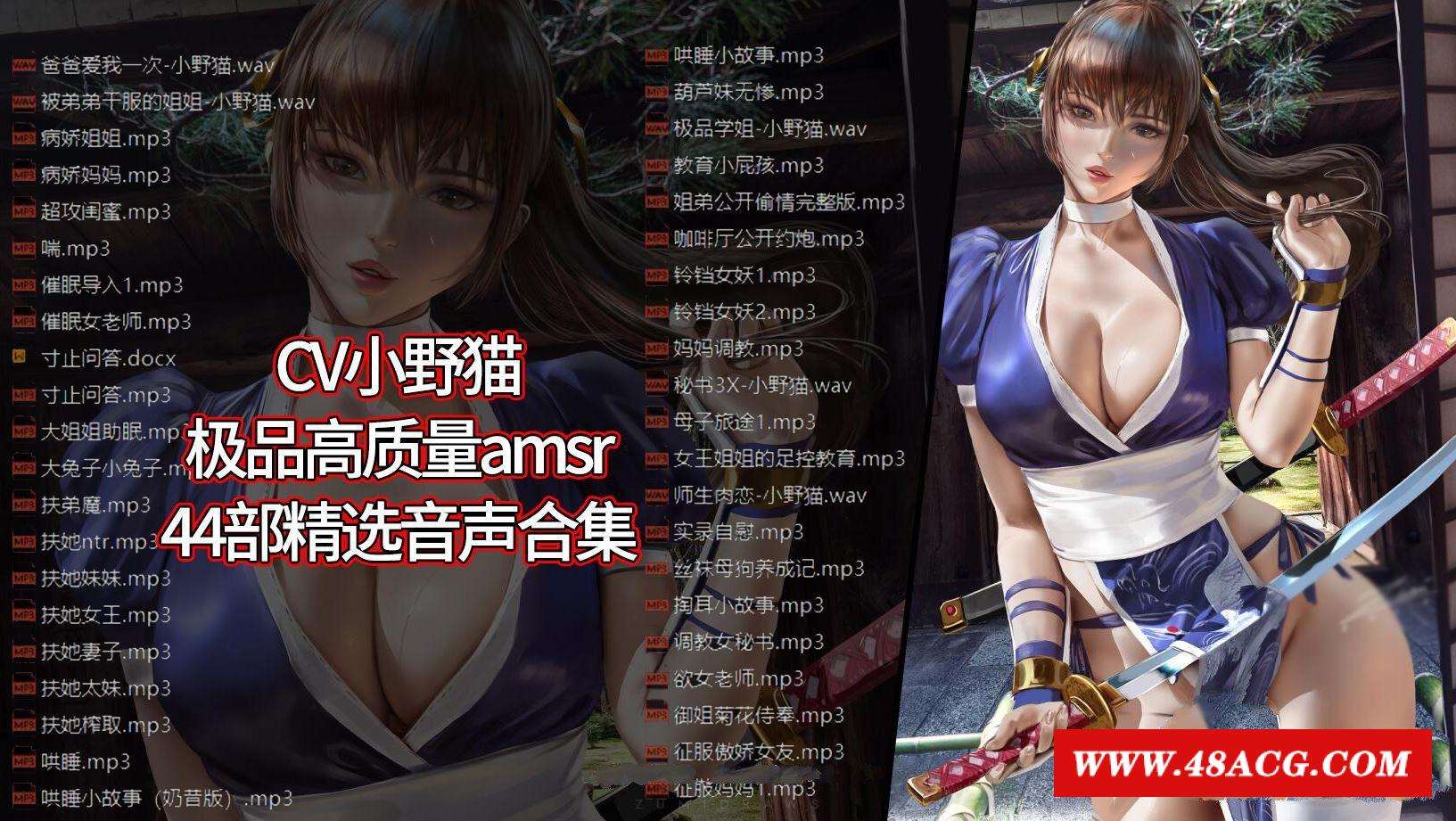 【极品AMSR/中文】CV小野猫：高质中文音声精选44部合集【1.9G/新作/中文配音】-游戏广场