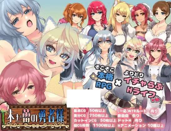 [PC-RPG游戏] 【RPG/机翻/新作】未だ蕾の勇者様 Ver1.0.2【1.6G/度盘】[A023758]-游戏广场